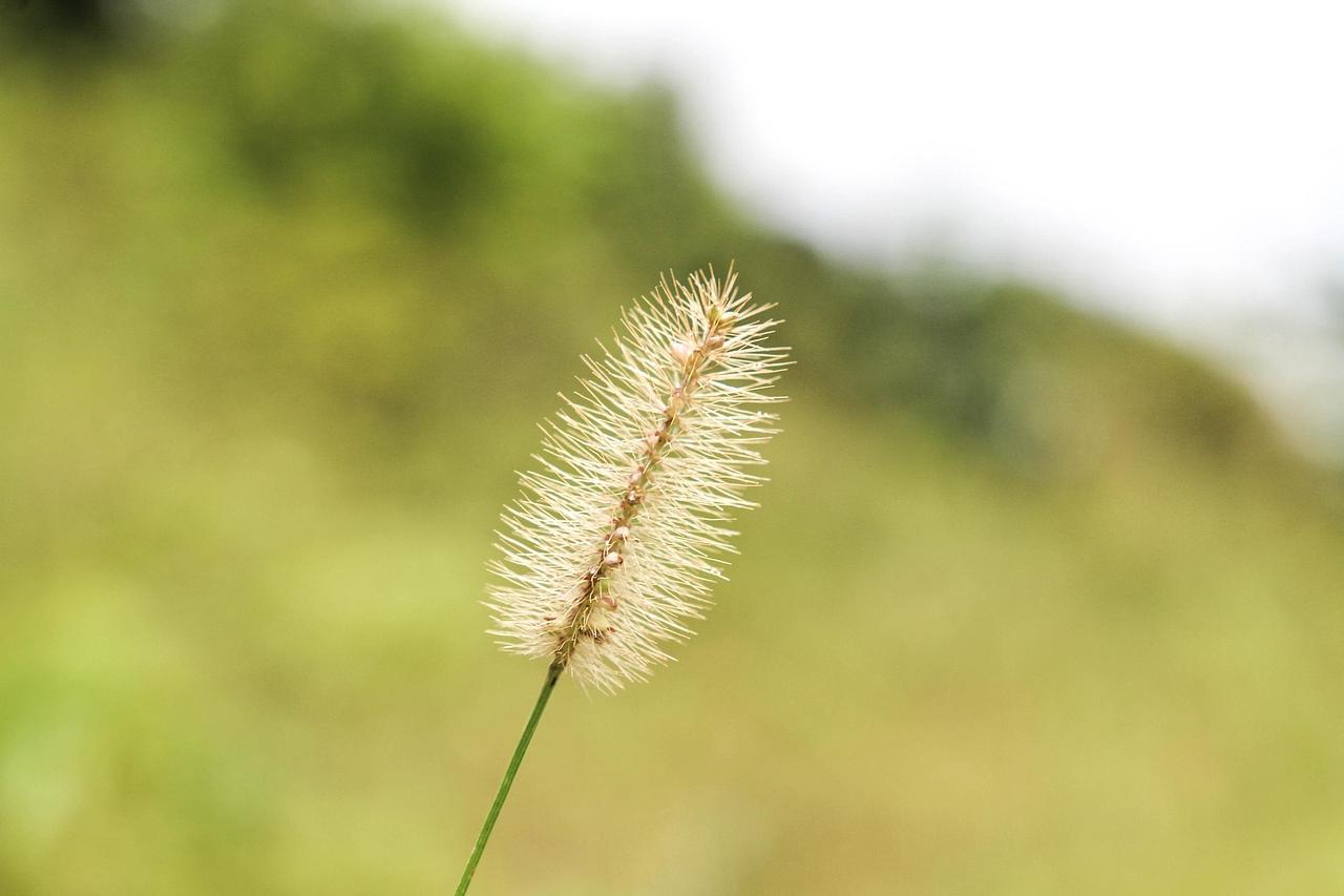 一叶知秋,广州的天气也开始变凉了,要入秋了吧!