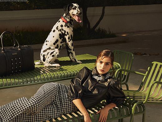 住在隔壁的斑点狗与女包的时尚大片
