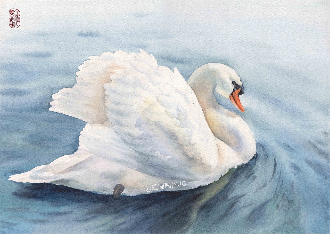 水彩白天鹅