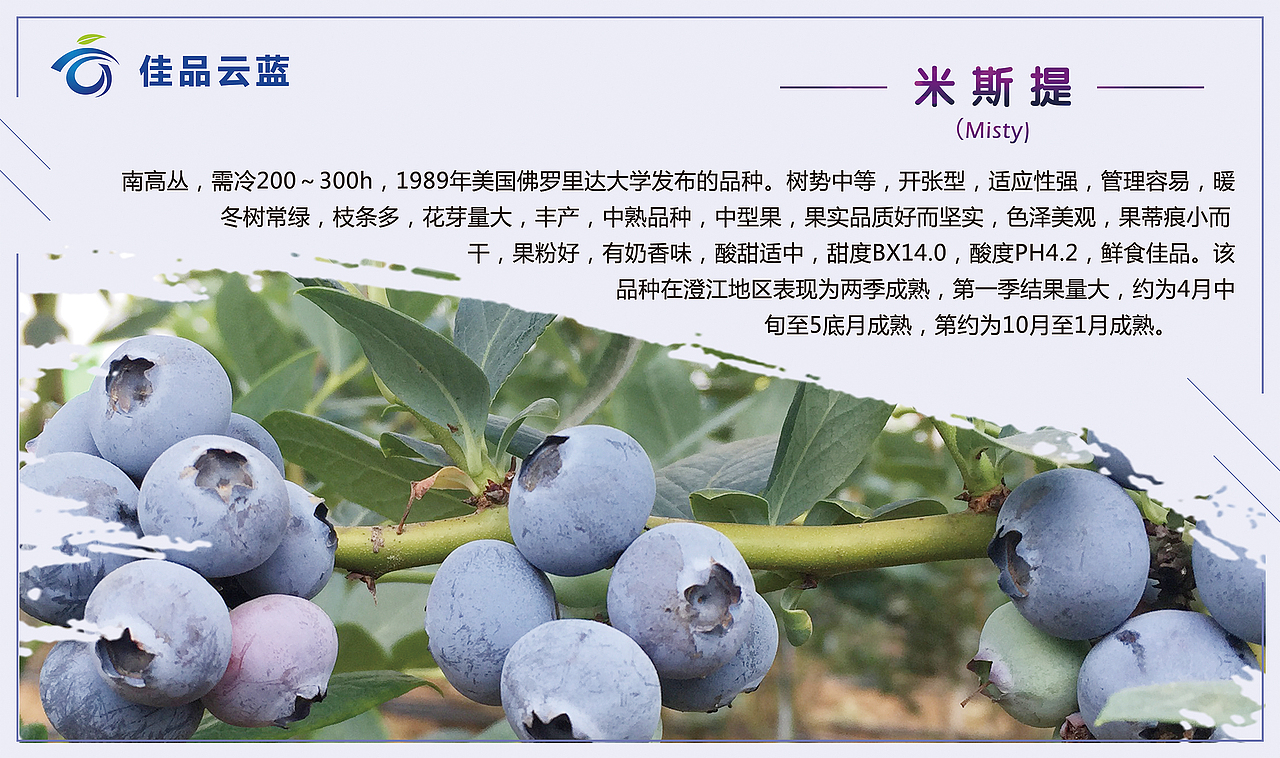 展板（图ZMTQzNDc0MDcy） - 宣传物料 - 站酷设计师呆呆小萌原创素材 - 站酷ZCOOL