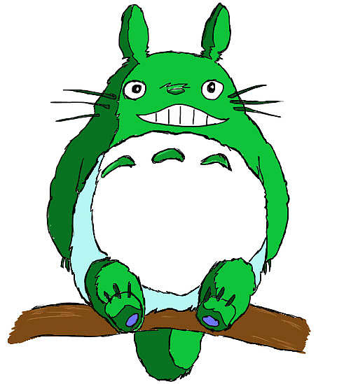 阳光帅气—龙猫