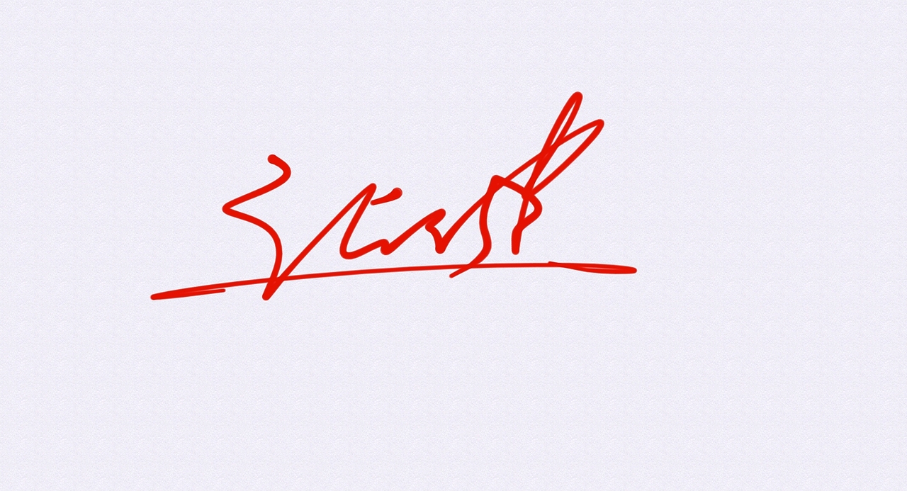 张健的签名一款丨艺术签名丨签名设计丨签名怎么写好看