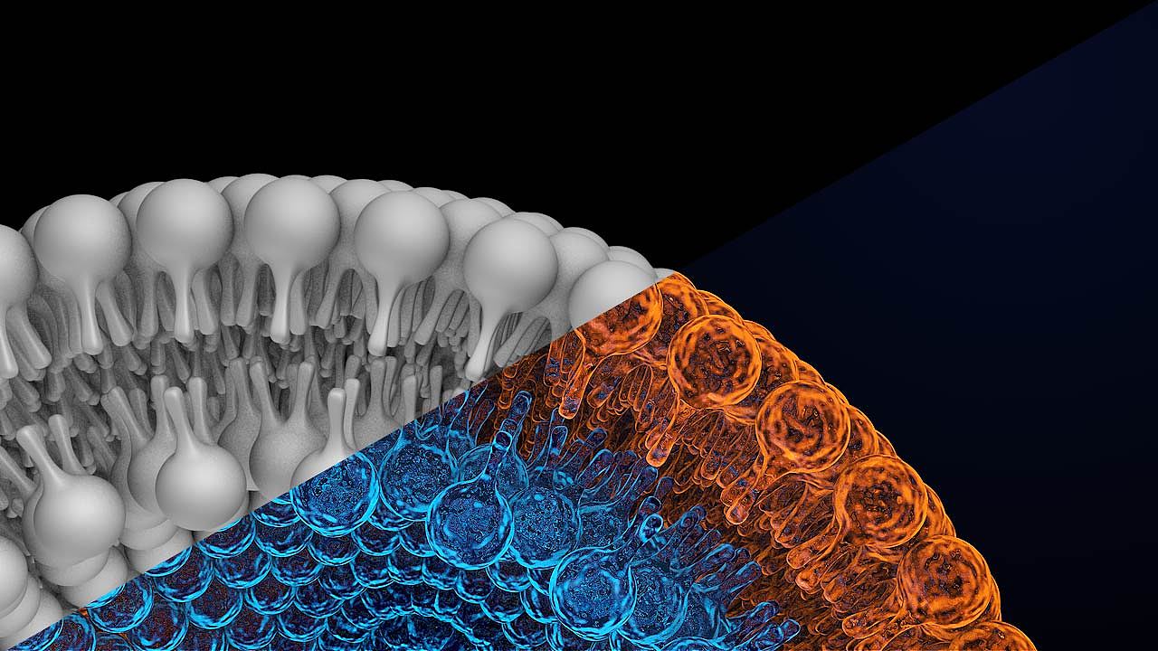天逸宝地c4d25桃子沙发雨水节气灵感图册厚涂人像学习练习7油画临摹