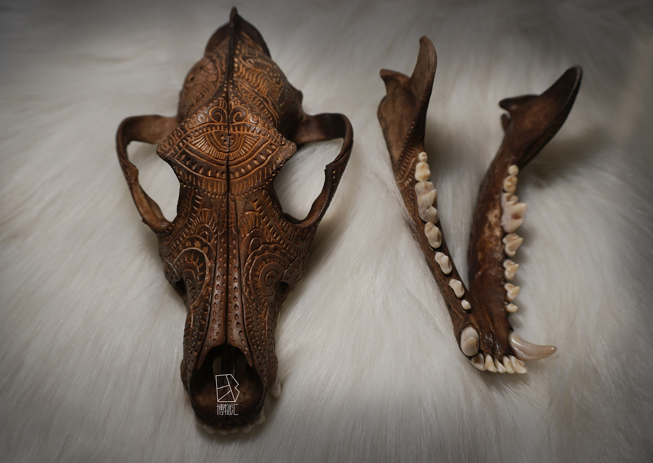 狗头骨雕艺术品|空间|家装设计|潦草线条 - 原创作品 - 站酷 (zcool)