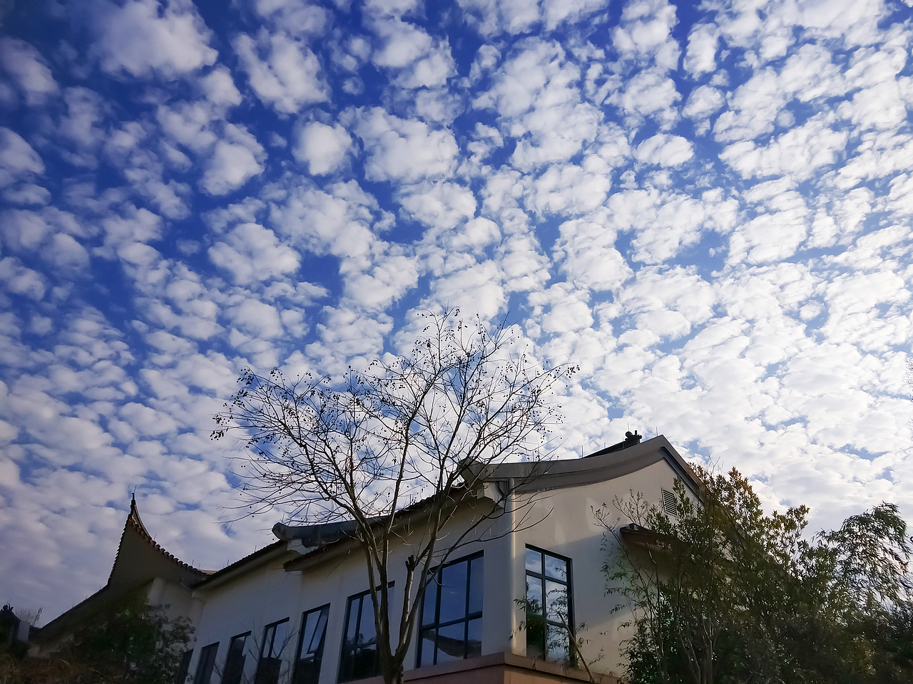 抬头看下冻碎的云