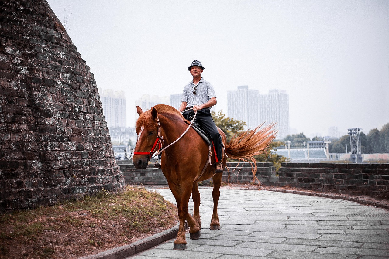 古道西风瘦马  夕阳西下