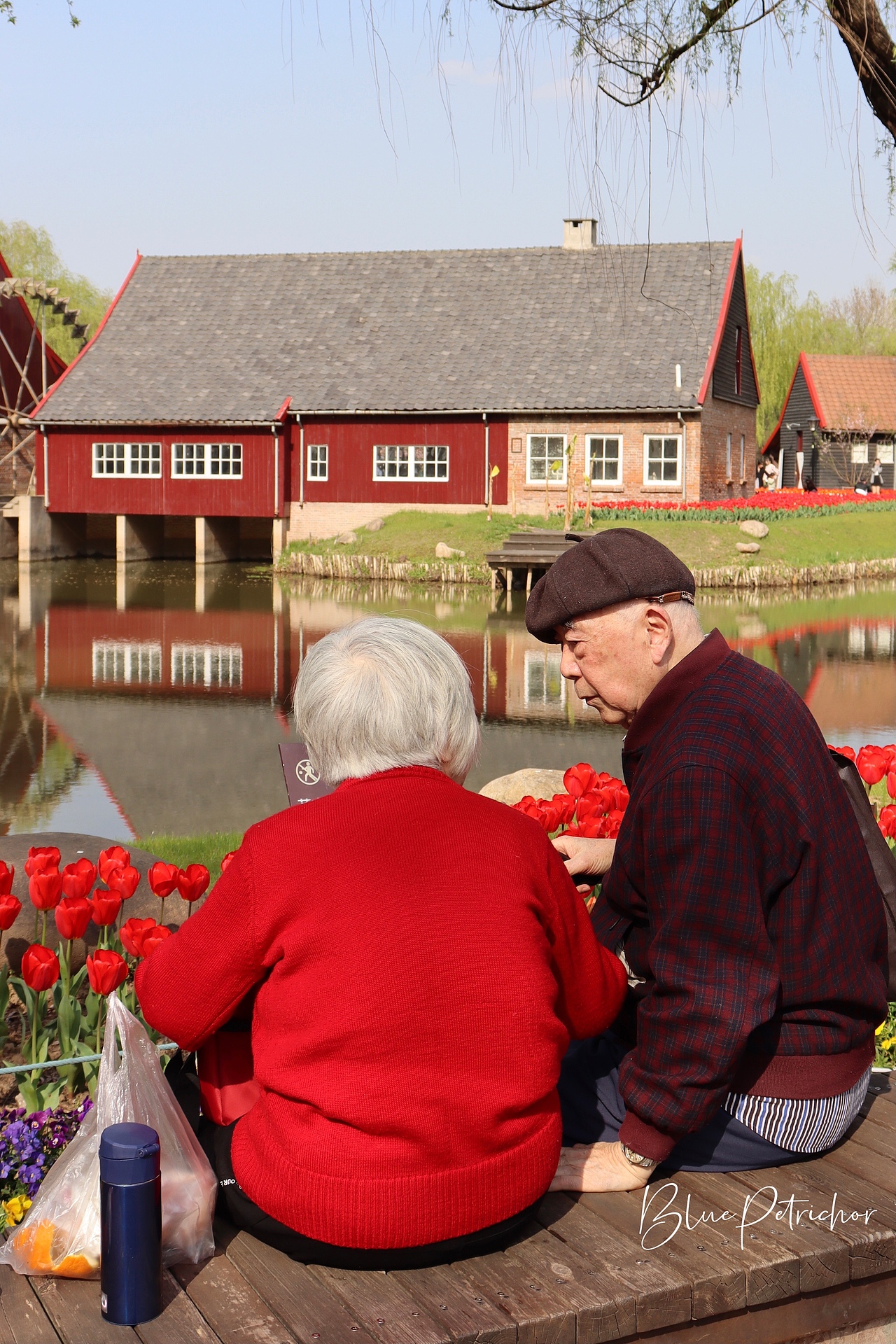 春天来的很慢 春天才有浪漫
