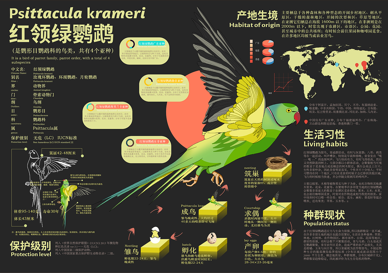 动植物信息设计（图ZMjgzNTA5MDQw） - 宣传物料 - 站酷设计师808river原创素材 - 站酷ZCOOL