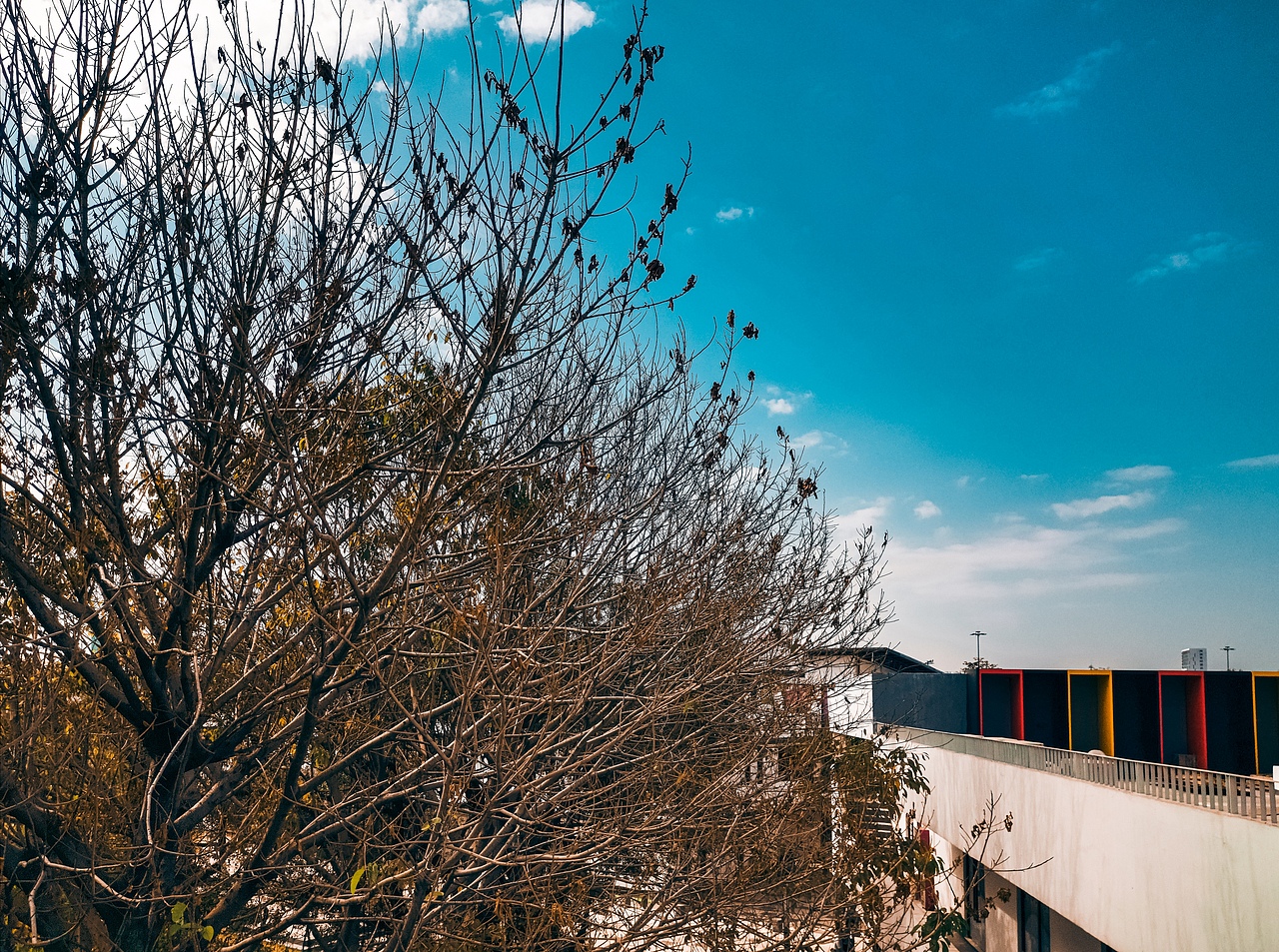 【手机摄影】天气好,拍啥都好!荣耀9X拍摄