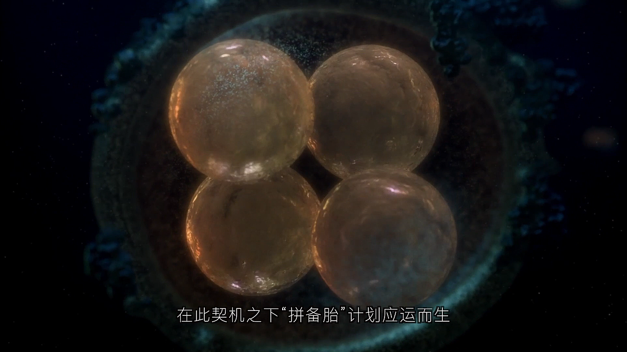 医疗行业招商宣传短视频制作