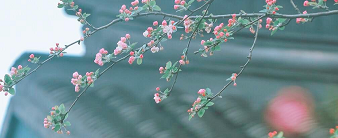 嗳喵者的个人主页（封面预览） - 主页封面设置 - 站酷设计师嗳喵者原创素材 - 站酷ZCOOL