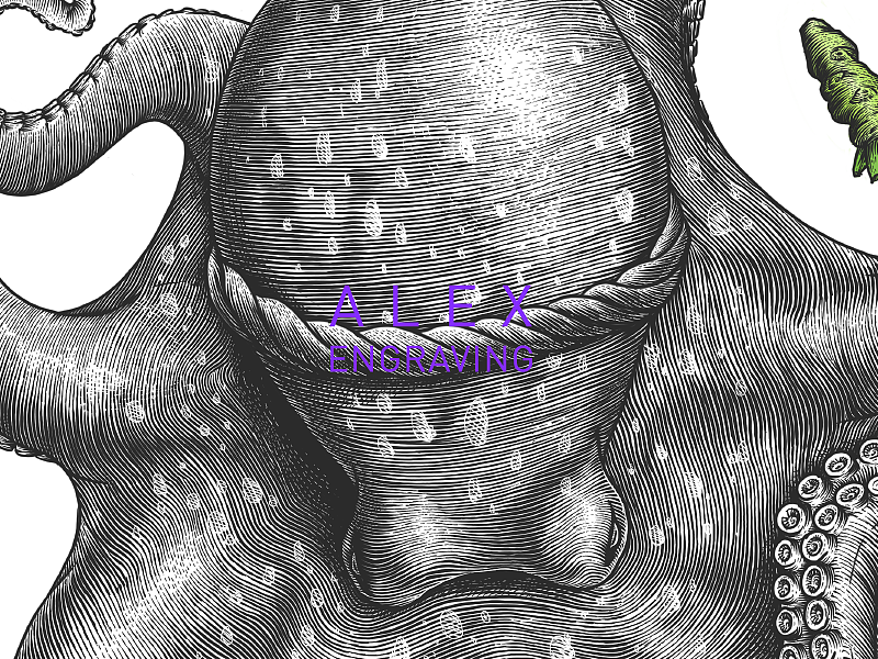 版画 - 芥末章鱼（图ZMTEwNjY4MTc2） - 商业插画 - 站酷设计师花椒的Alex原创素材 - 站酷ZCOOL