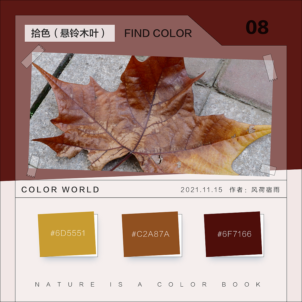 色彩（悬铃木）（图ZMjgyNzQ3MzMy） - 其他 - 站酷设计师风荷宿雨原创素材 - 站酷ZCOOL