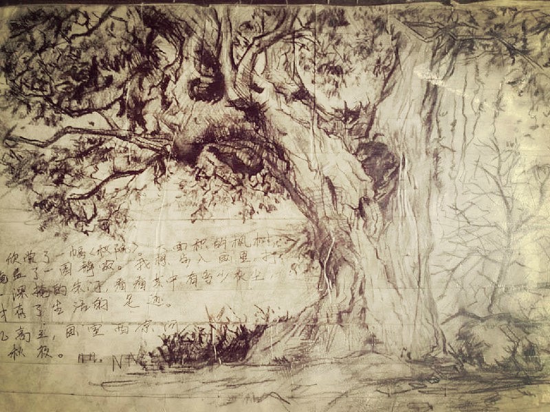 高二时候画的吧应该是,都过去五年了。