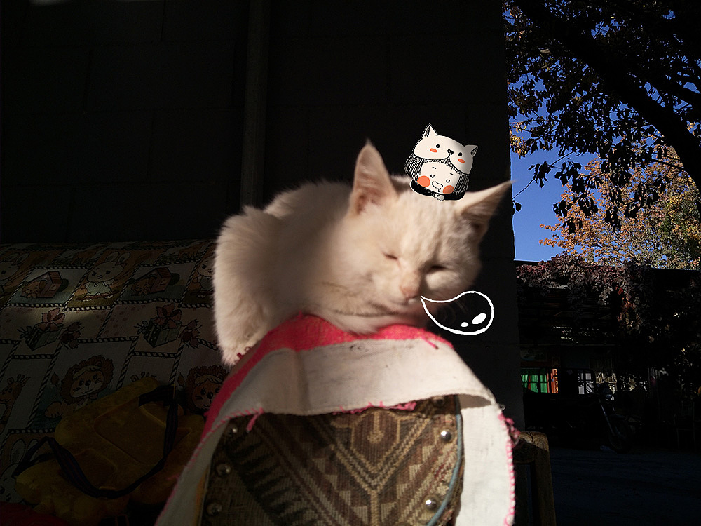 喵宝✲ 和秋天约好去旅行（图ZMTMzODcxNjAw） - 单幅漫画 - 站酷设计师猫矮_MAOI原创素材 - 站酷ZCOOL