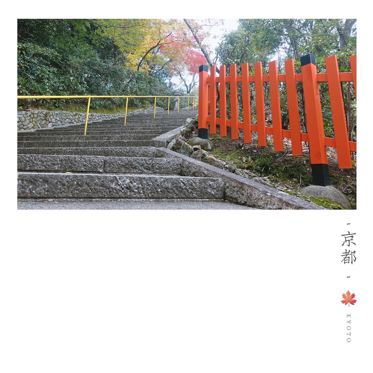 京都楓葉季