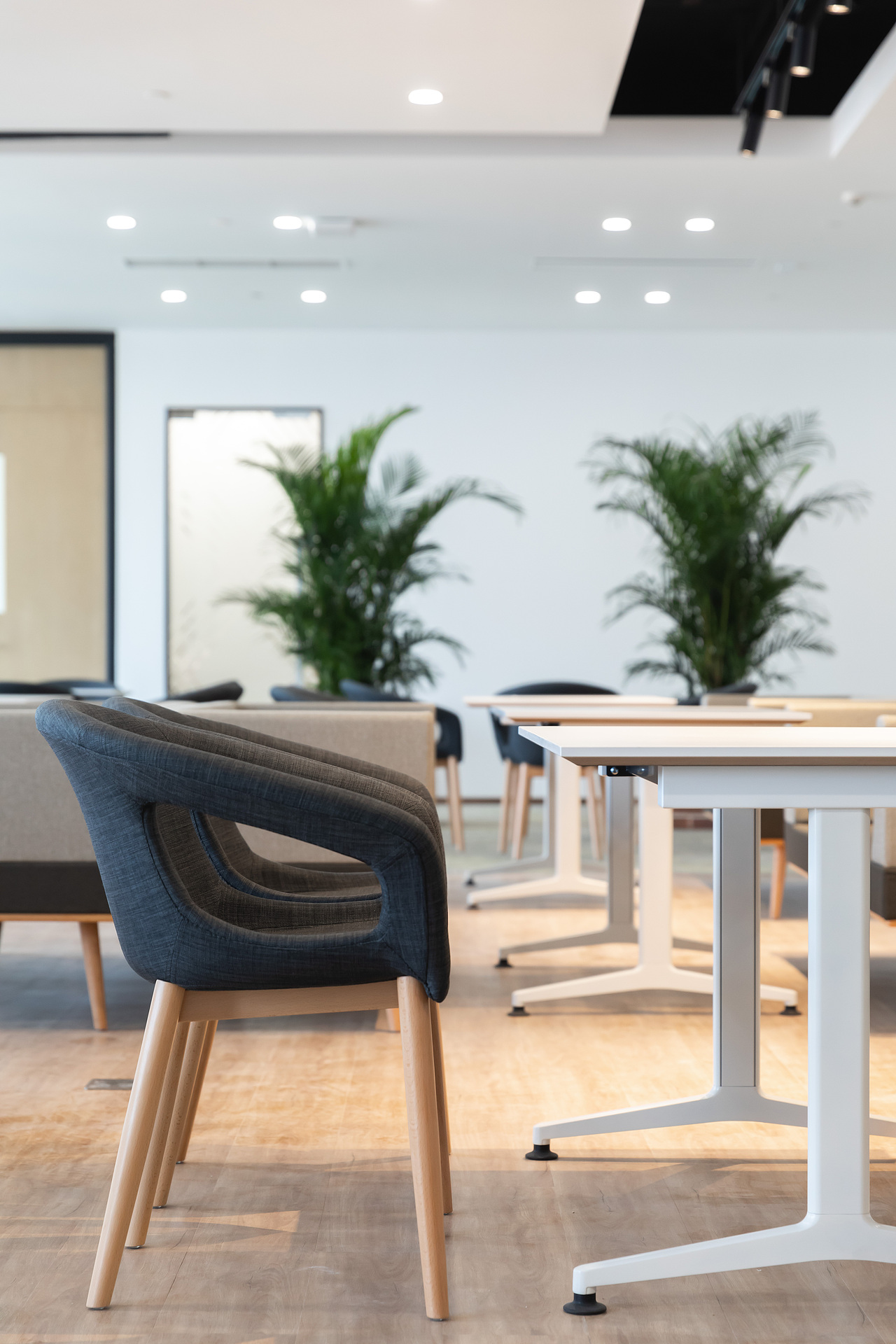 佳能（中国）完工照片