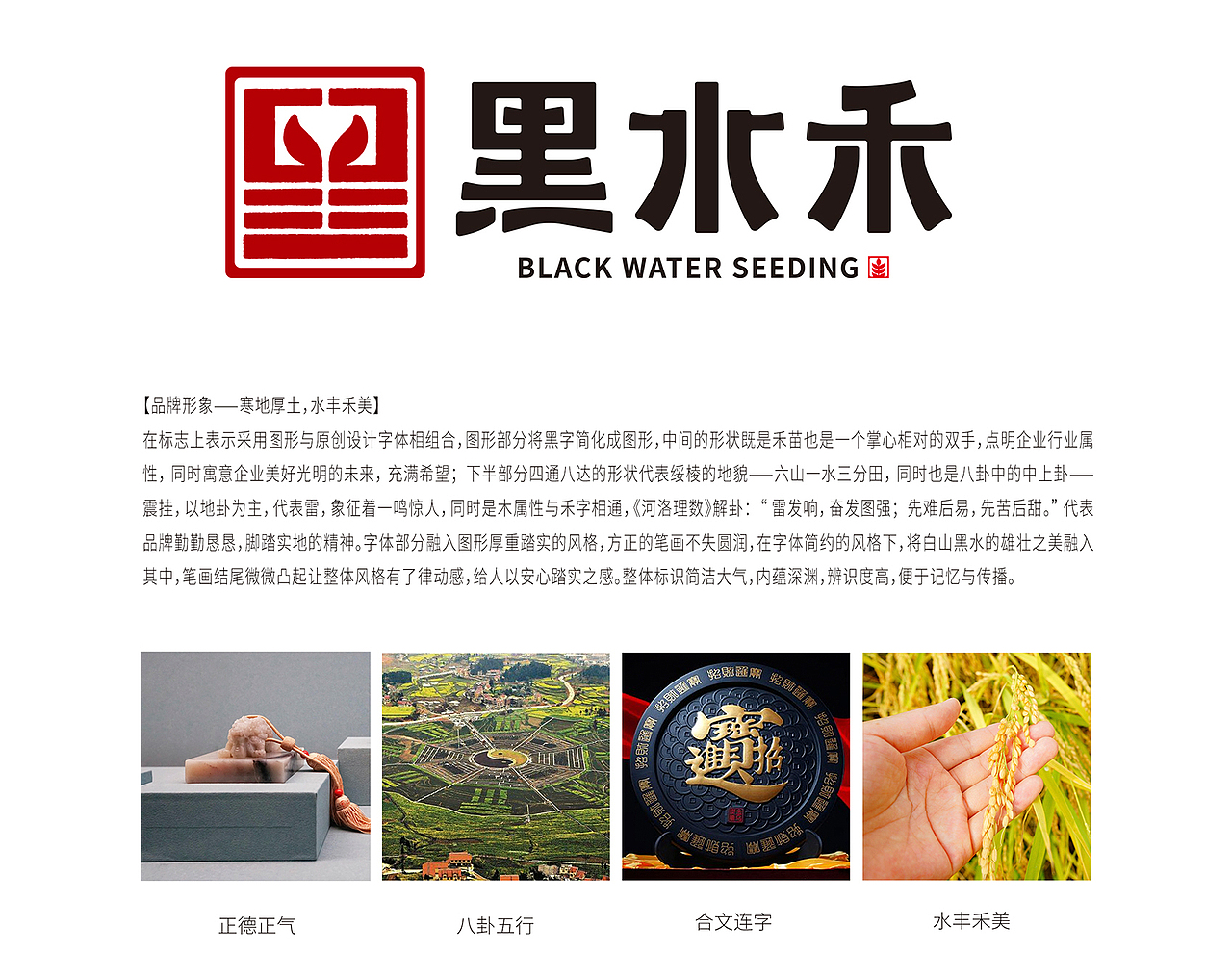 黑水禾——龙江腹地 黑水禾米（图ZMjM5MjY0NjA0） - 品牌 - 站酷设计师缤策原创素材 - 站酷ZCOOL