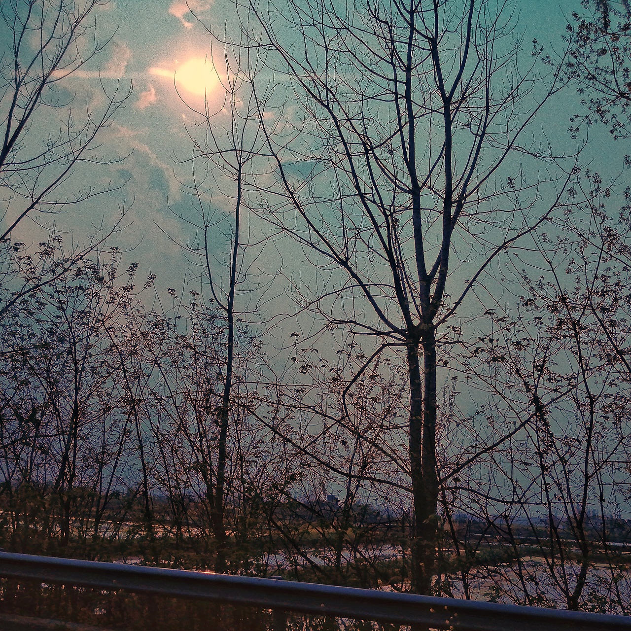 我已路过,何必留情。