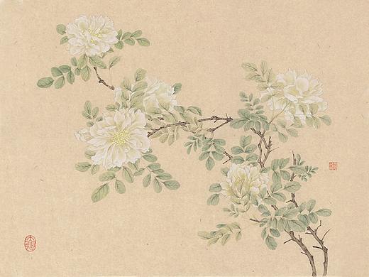 白薔薇（個(gè)人主頁(yè)-ZMzAzMDExOTI=） - 繪畫 - 站酷設(shè)計(jì)師知末原創(chuàng)素材 - 站酷ZCOOL