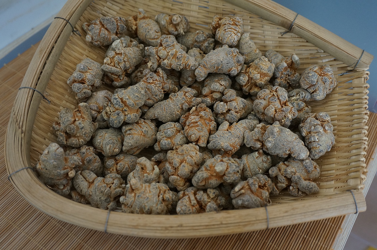 云南满泽三七30头文山春三七头图片