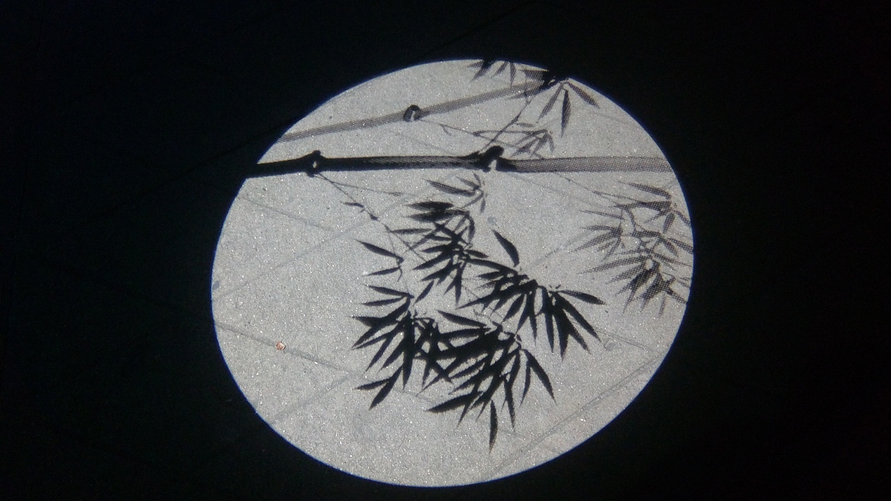 秋季的江南（图ZNjMwNjM0NDg=） - 风光摄影 - 站酷设计师设影西岸VON原创素材 - 站酷ZCOOL