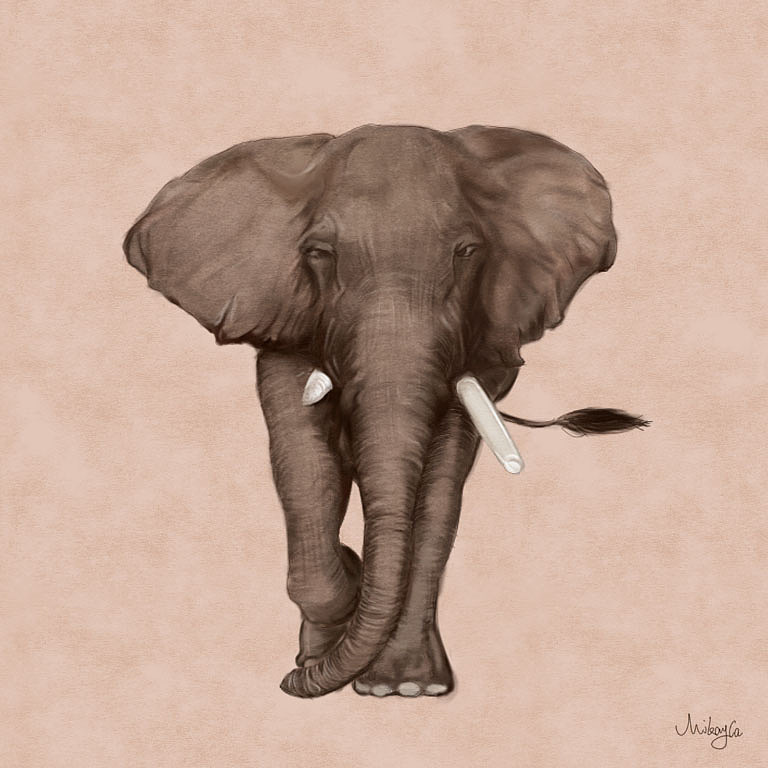 狮子狮子（图ZNzE0MDcxMjQ=） - 艺术插画 - 站酷设计师mikayla0601原创素材 - 站酷ZCOOL