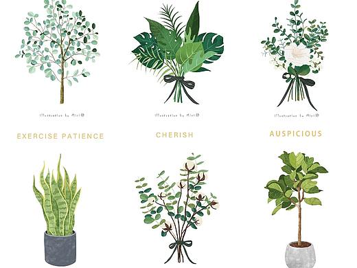 北欧植物系列