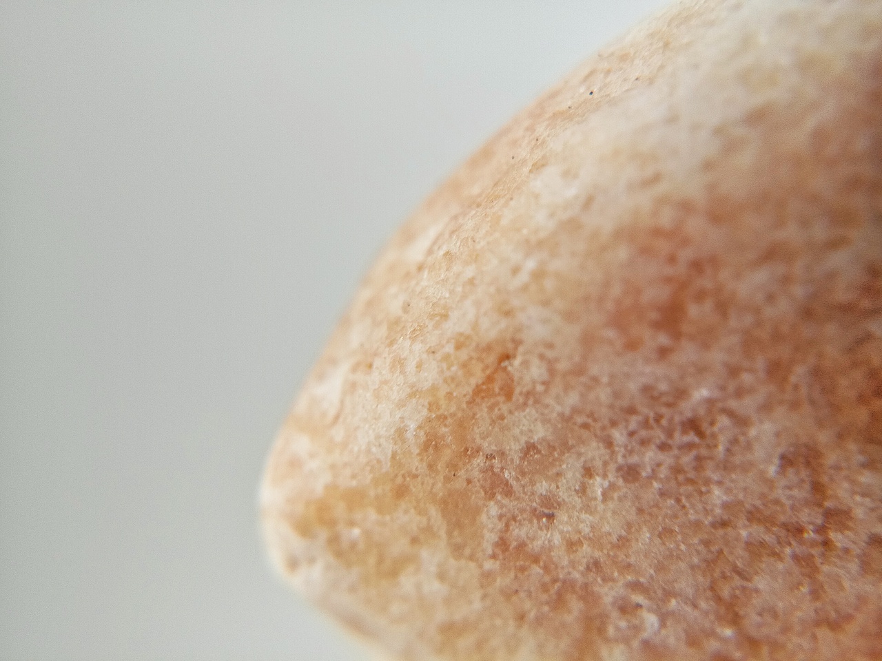 手机摄影 | 石头记