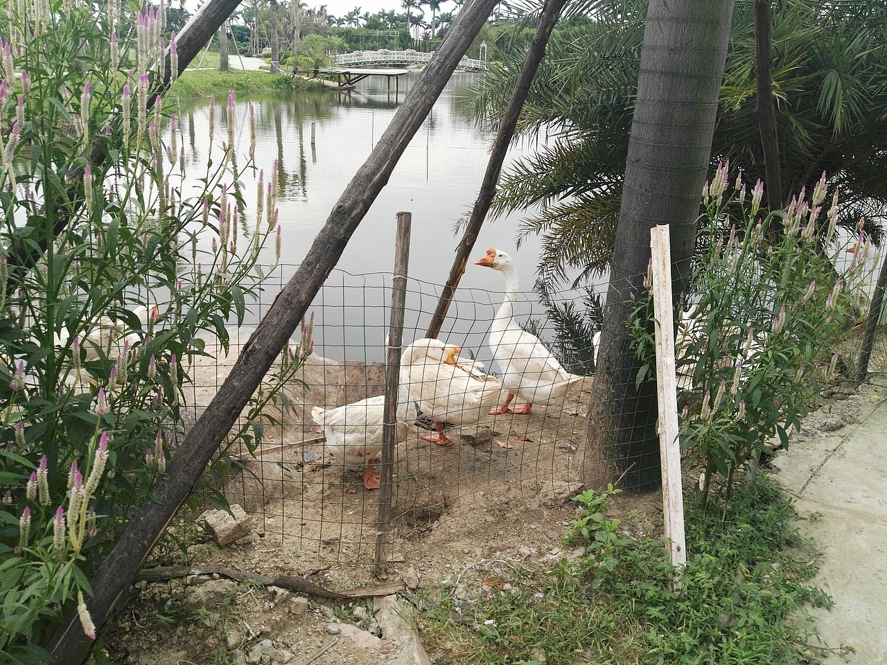 婚纱艺术摄影空间装饰规划（图ZMjUxMjkwNDI0） - 景观设计 - 站酷设计师让中国拥有世界原创素材 - 站酷ZCOOL