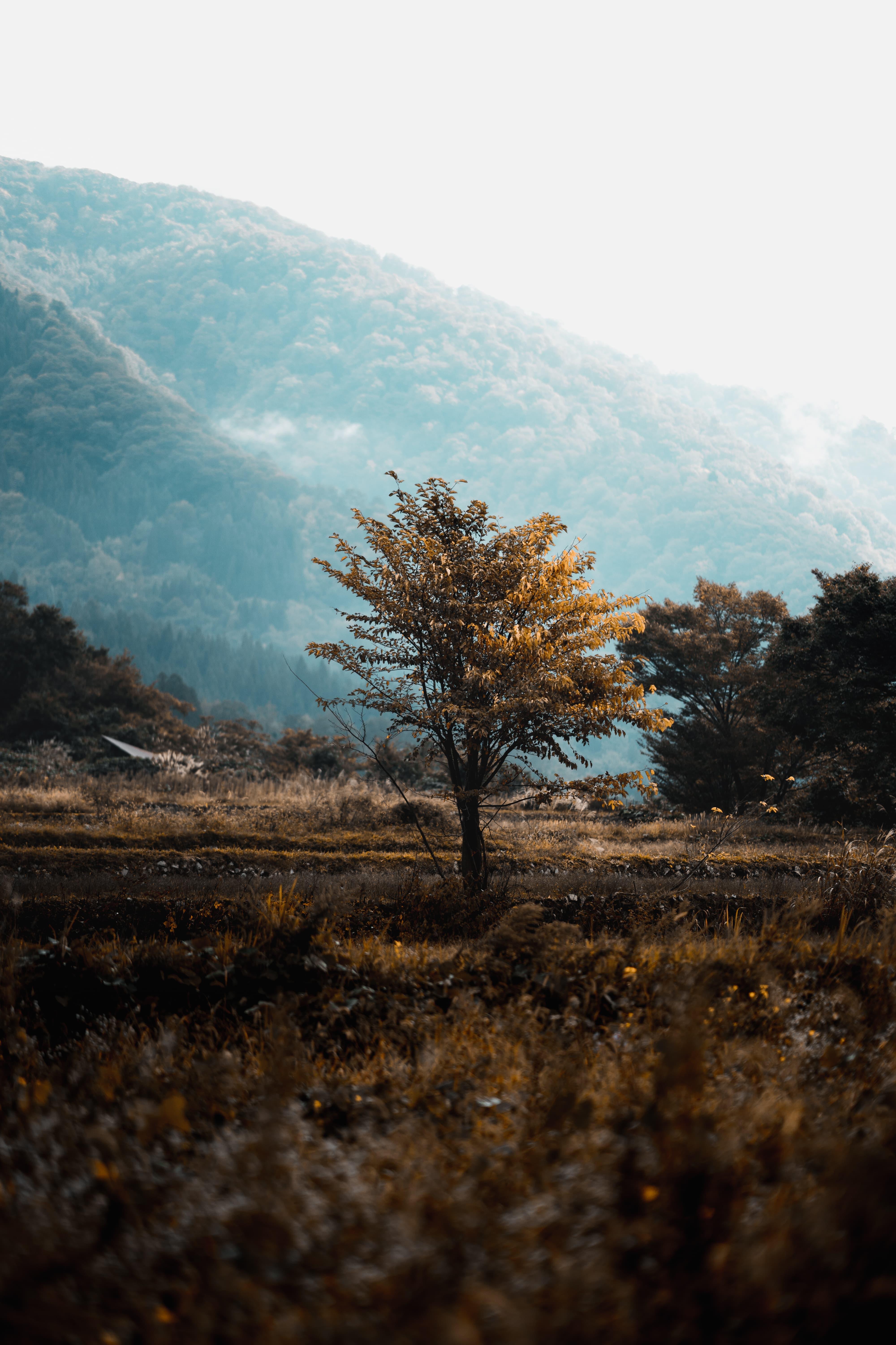 周圖南的小世界的個人主頁（封面預(yù)覽） - 主頁封面設(shè)置 - 站酷設(shè)計師周圖南的小世界原創(chuàng)素材 - 站酷ZCOOL
