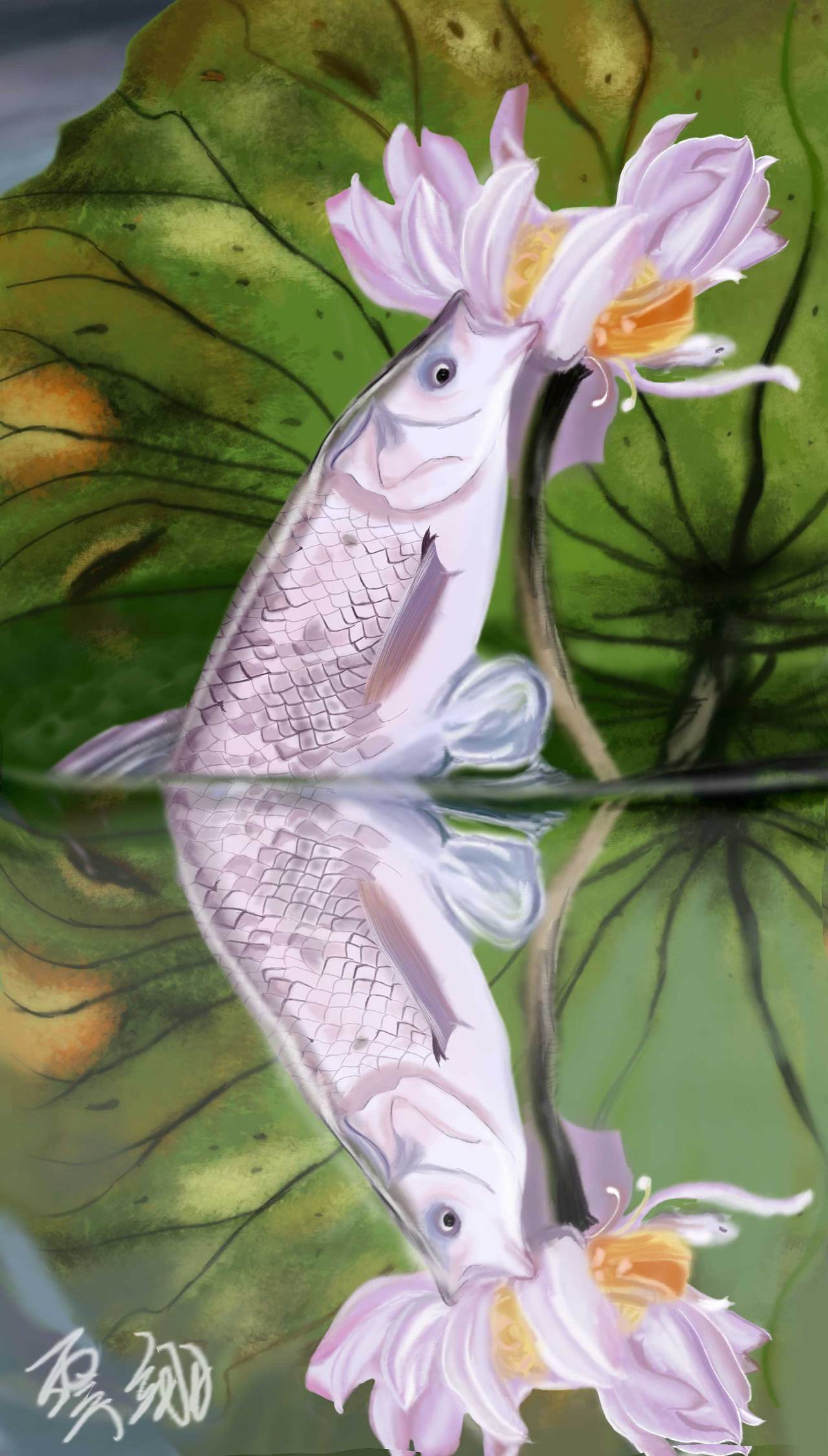 鱼吃莲|插画|插画习作|云之翊 - 临摹作品 - 站酷 (zcool)