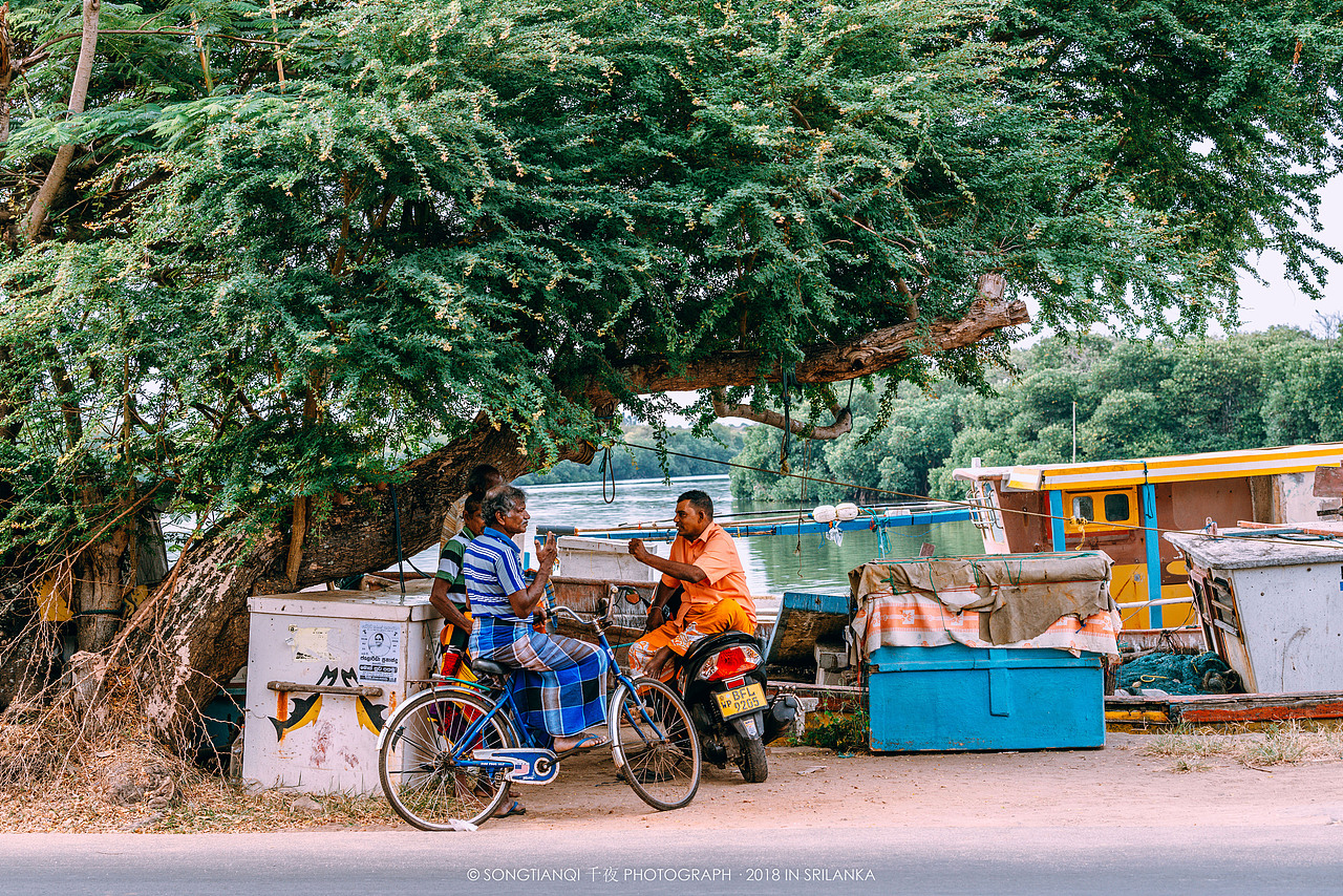 行走在印度洋上的眼泪——斯里兰卡°