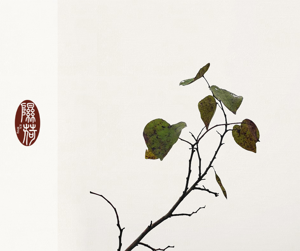 植（图ZMTk3MDc1NDI4） - 人文/纪实摄影 - 站酷设计师隰荷YQ原创素材 - 站酷ZCOOL