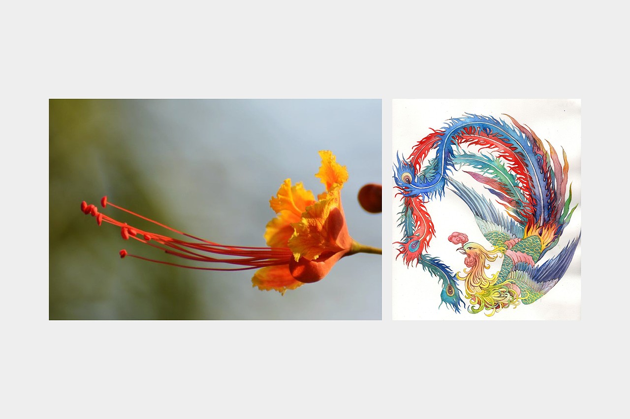 凤凰花酒店VI（图ZMjM1ODc0NDE2） - 品牌 - 站酷设计师刘浩andBrand原创素材 - 站酷ZCOOL