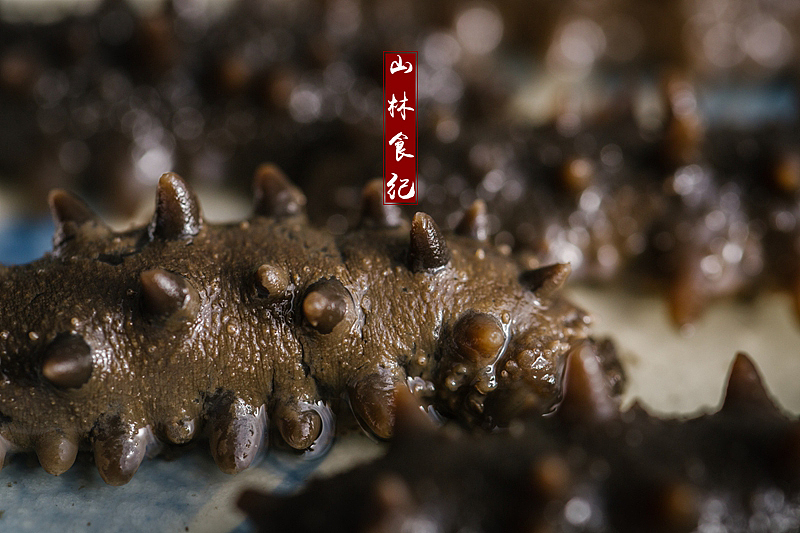 海参为礼 一爿赤诚（图ZMTIyOTk5MzMy） - 产品摄影 - 站酷设计师山林纪原创素材 - 站酷ZCOOL