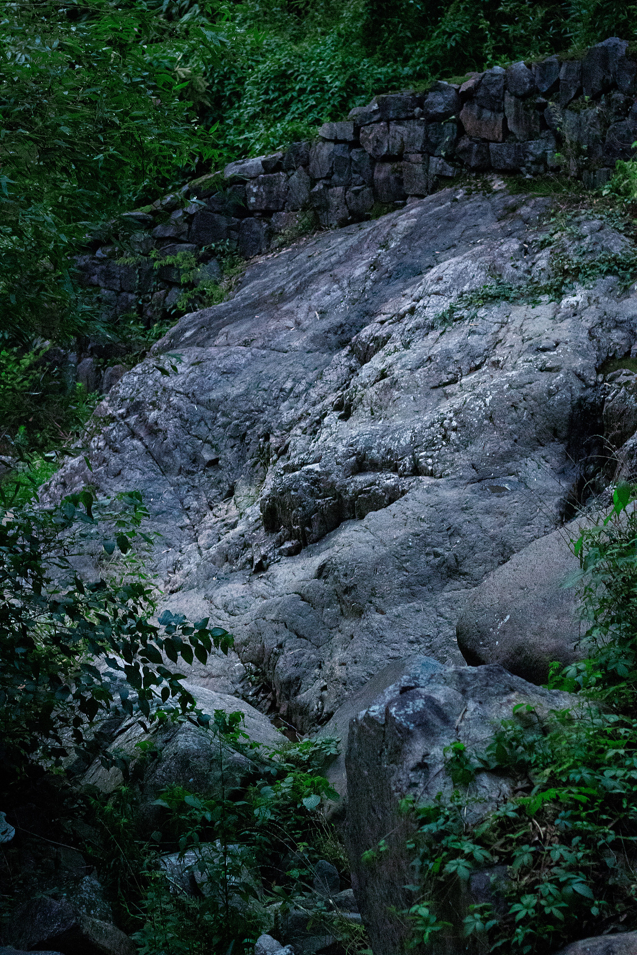 元气森林#创作加油站#（图ZMzEyNjY3NDcy） - 产品摄影 - 站酷设计师摄影师大柴狗原创素材 - 站酷ZCOOL