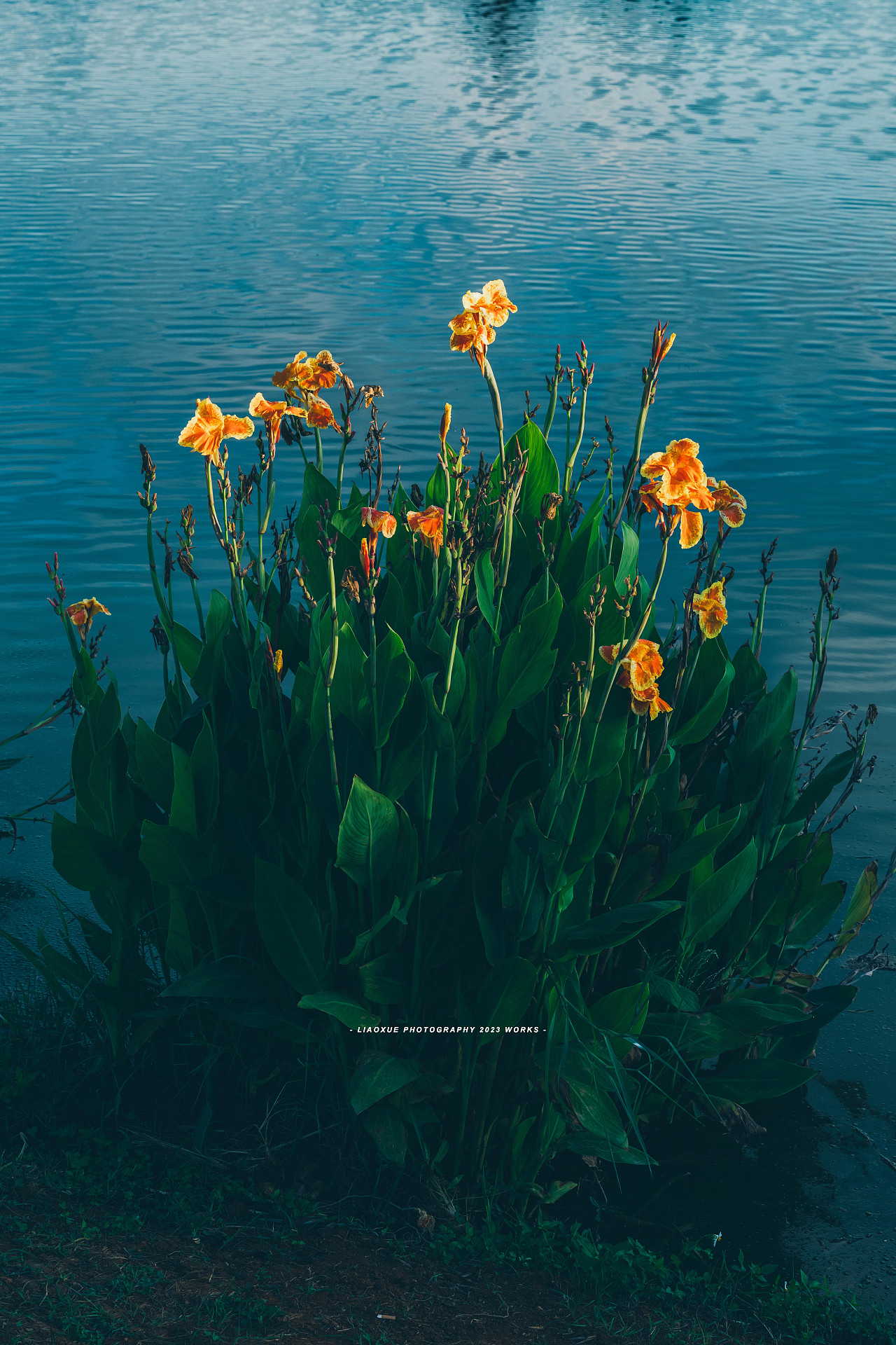 旅行摄影流水帐|镜头里的秋（图ZMzUzMDI5MjM2） - 人文/纪实摄影 - 站酷设计师雪小廖原创素材 - 站酷ZCOOL