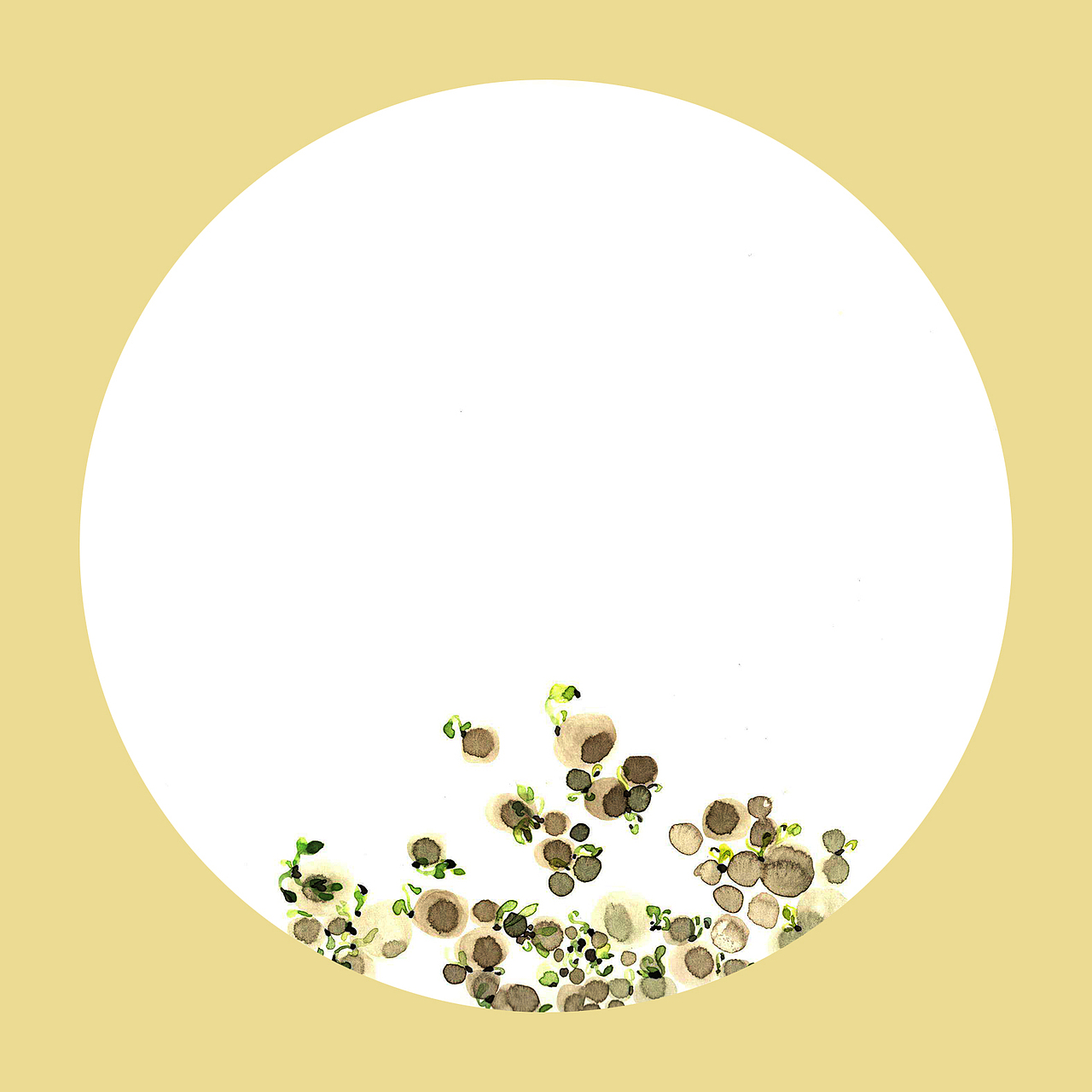 植物生长——连钱草（图ZMTAxNDE5ODcy） - 创作习作 - 站酷设计师77糖小逗原创素材 - 站酷ZCOOL
