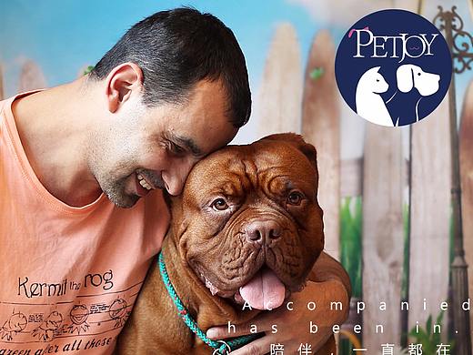 petjoy宠物产品LOGO设计 全球180个国家注册