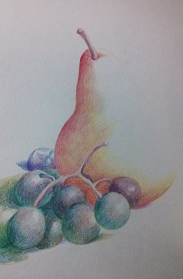 第一张静物彩铅的心得