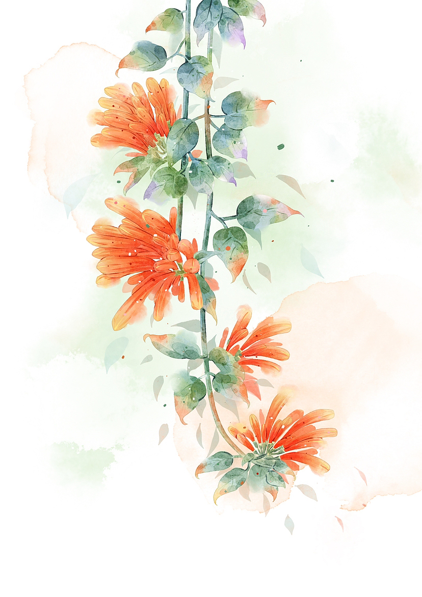 水彩花卉系列图