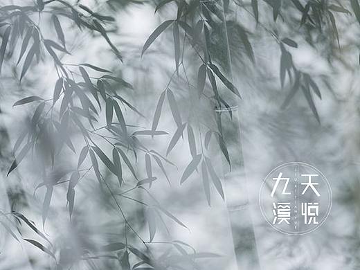 -新中式地产提报-