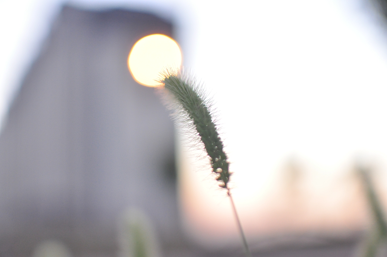 练习（图ZMjExMzg0Nzk2） - 人文/纪实摄影 - 站酷设计师香菇青菜周原创素材 - 站酷ZCOOL