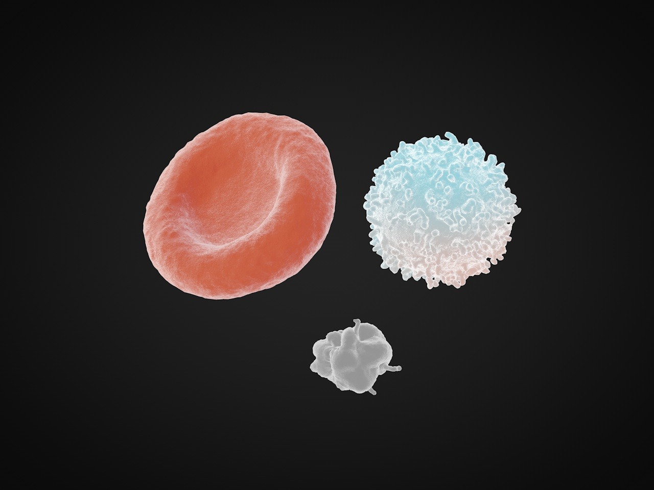 人原代黑色素细胞-原代细胞-STR细胞-细胞培养基-镜像绮点生物