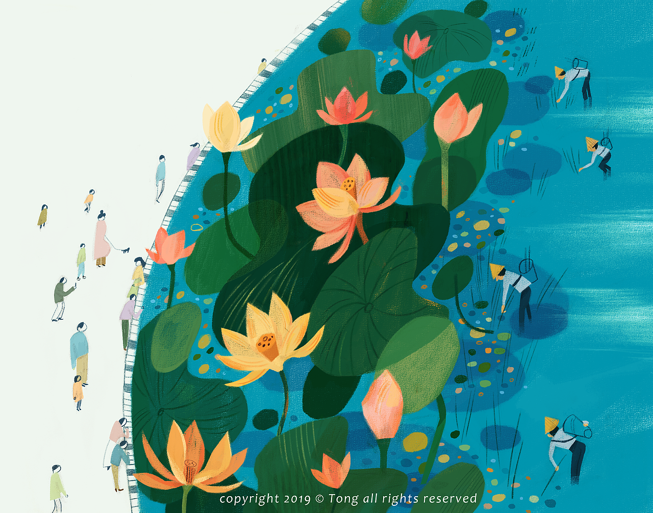 桃花心木林清玄散文集配图