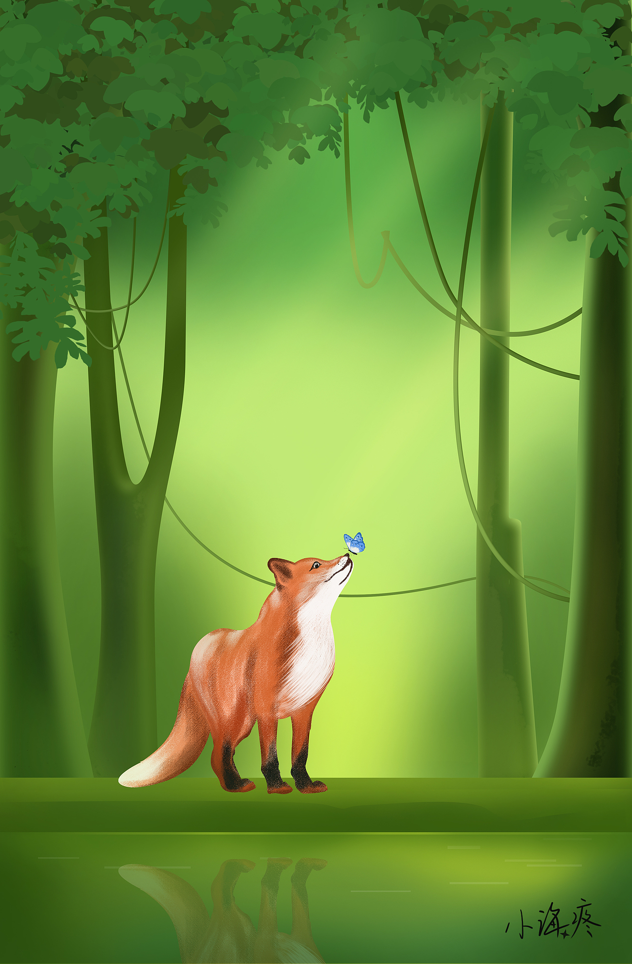 狐狸的夏天