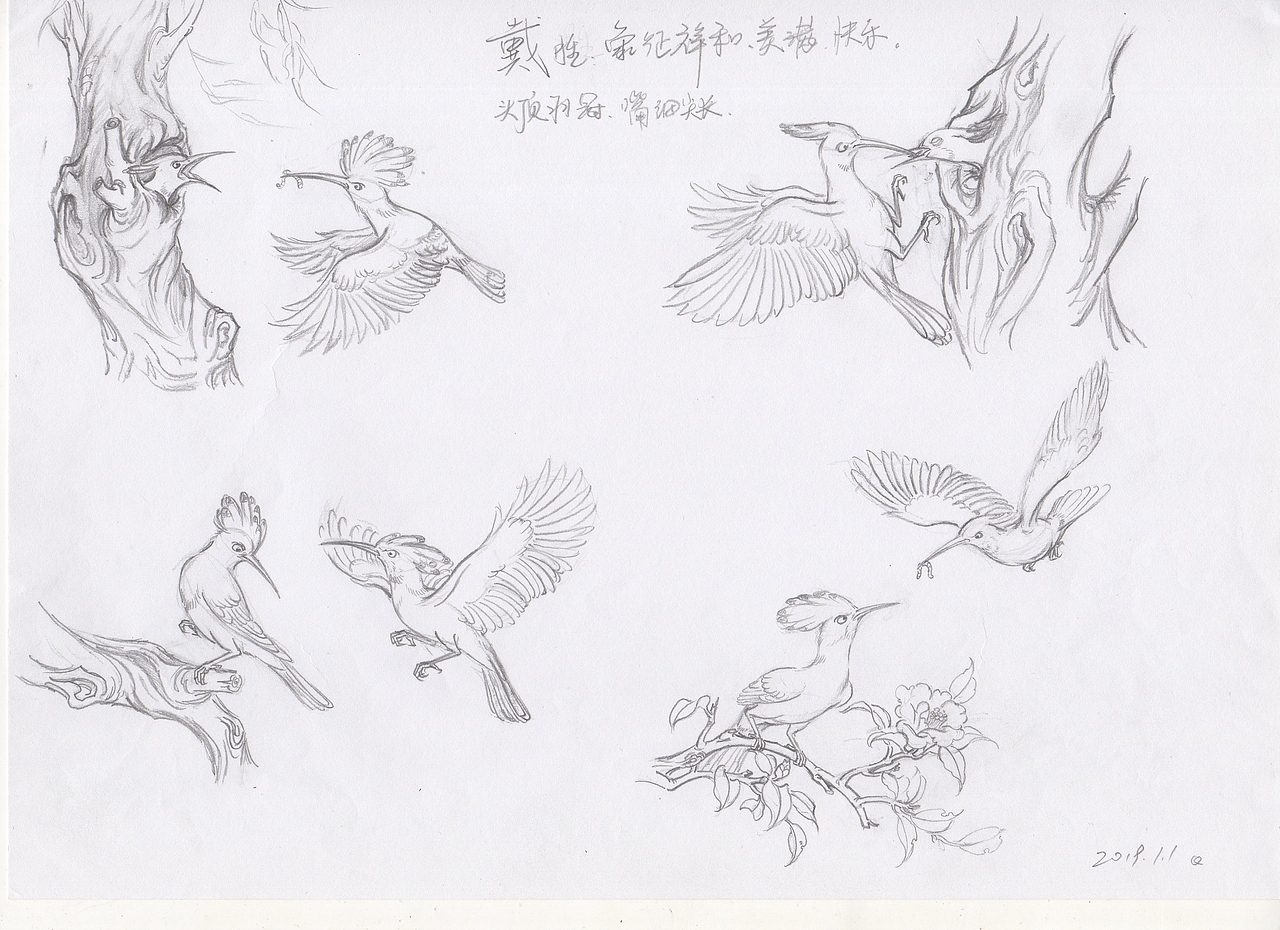 鸟类白描 速写