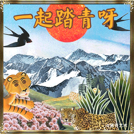 X+Q ART 微信表情包设计1.0版