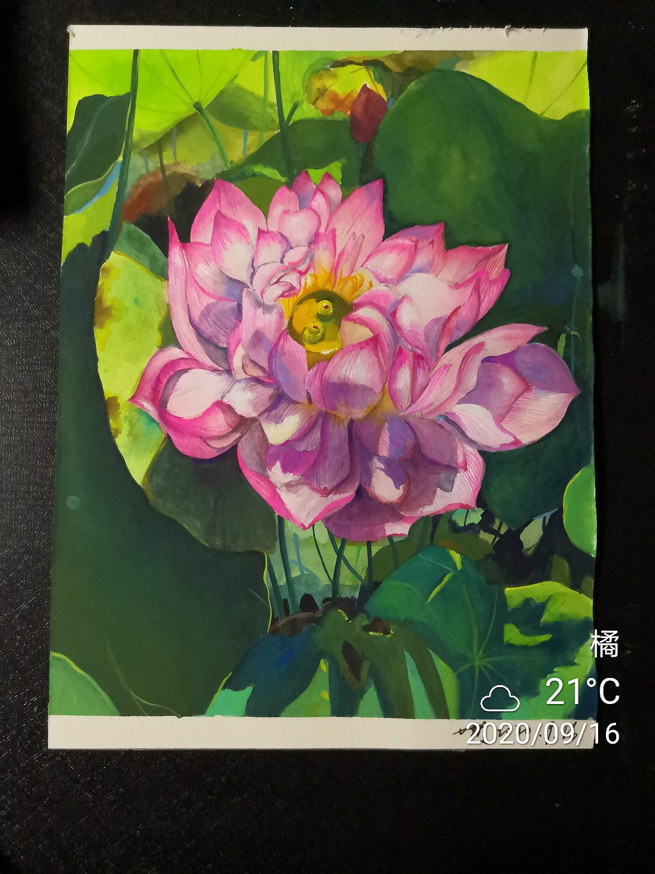 nicker不透明水彩